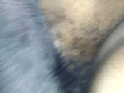 Horny tight african pussy FXCKED